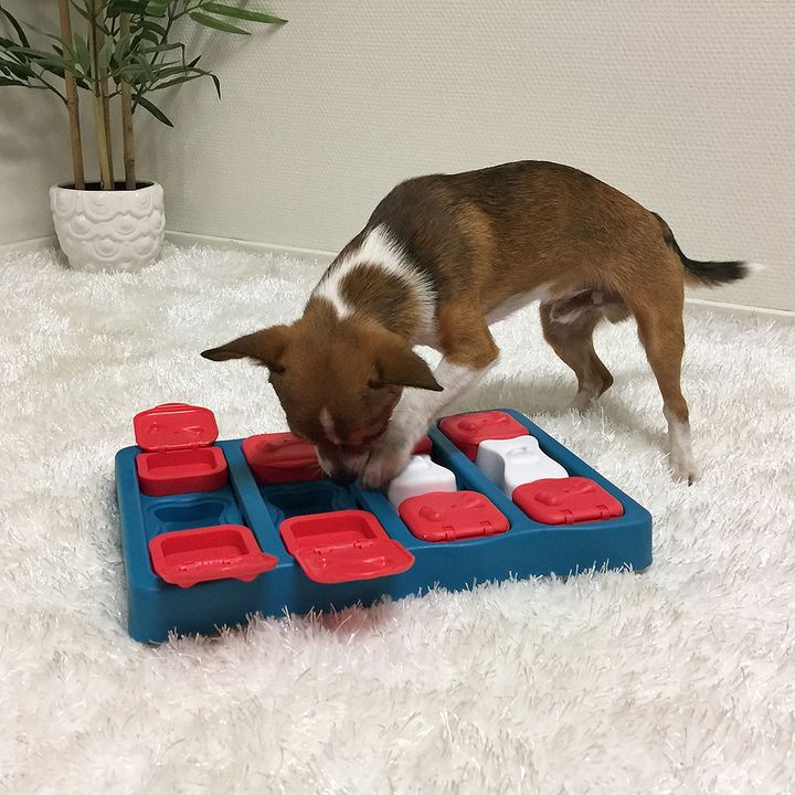 Dog Brick Treat Dispensing Dog Toy Feeder