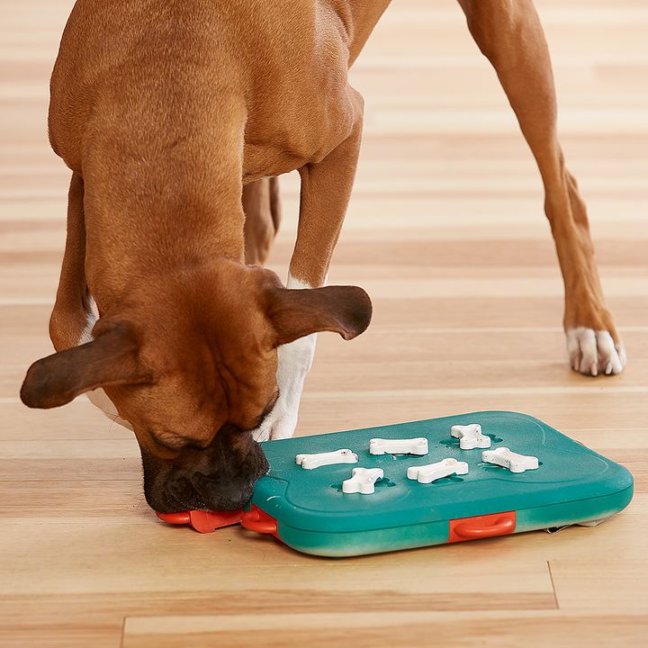 Dog Casino Treat Dispensing Dog Toy Puzzle