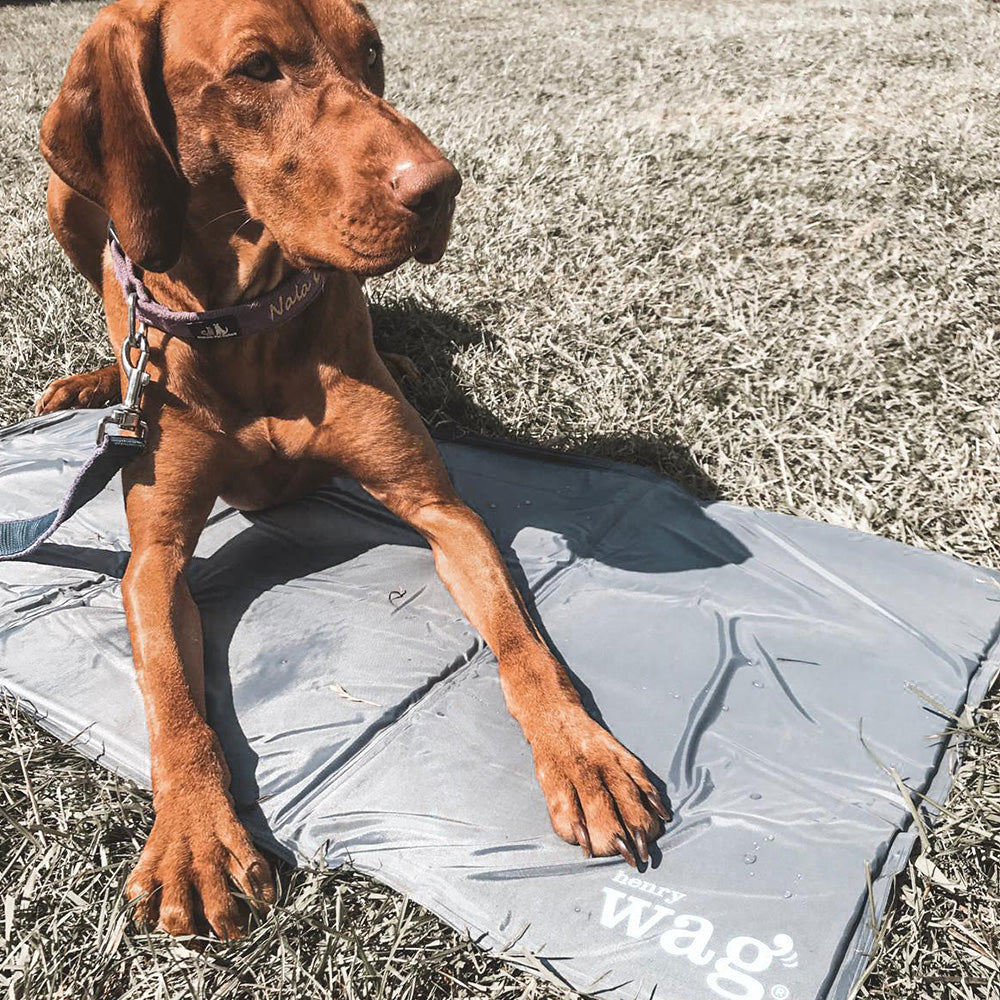 Henry Wagg Pet Cooling Mat for Summer