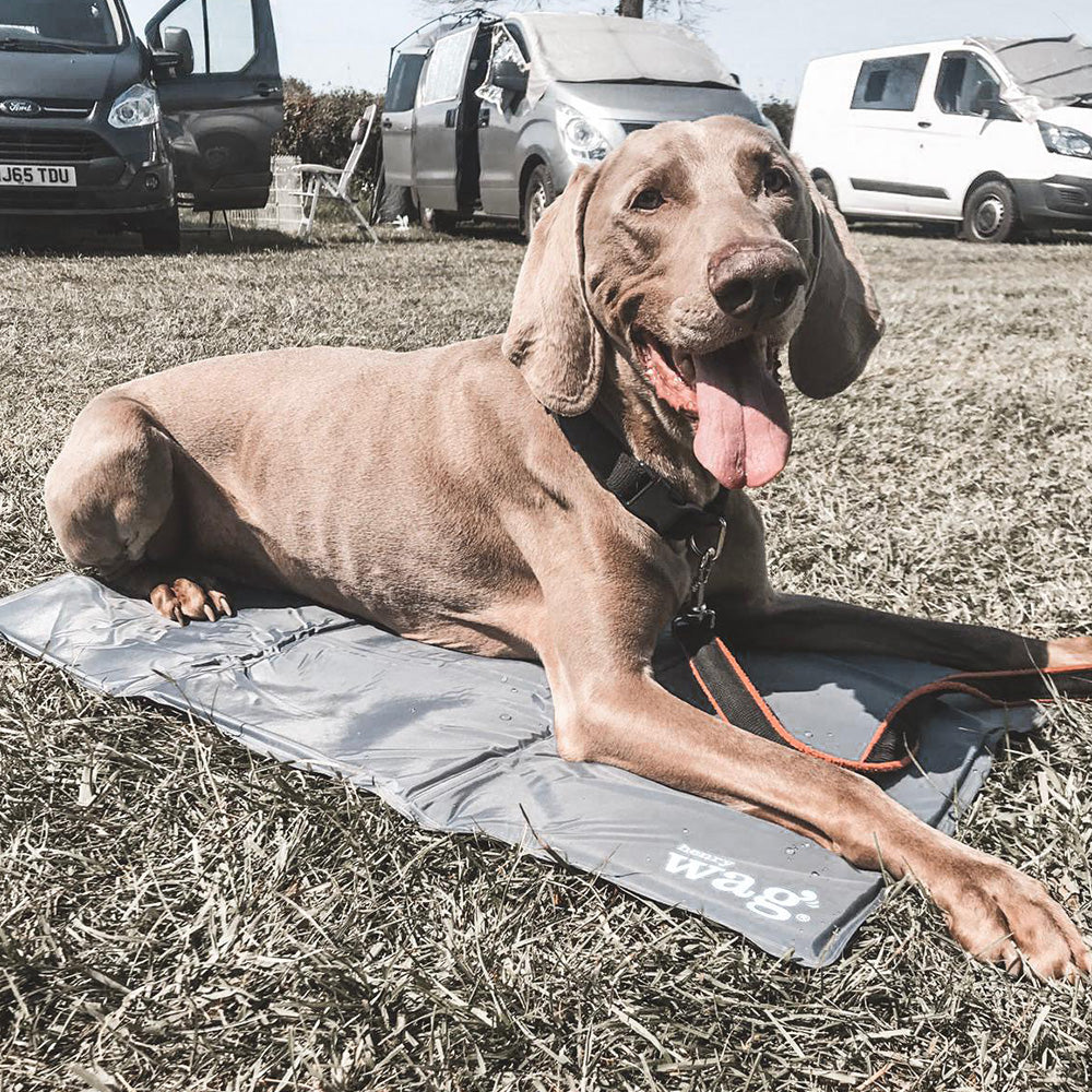 Henry Wagg Pet Cooling Mat for Summer