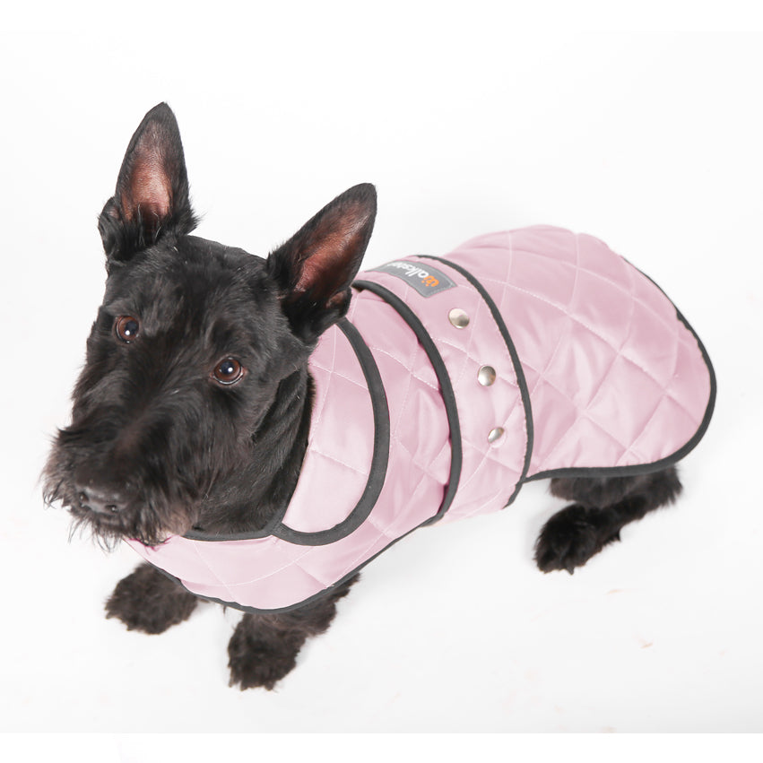 Walksters Premium Quilted Coat in Pink