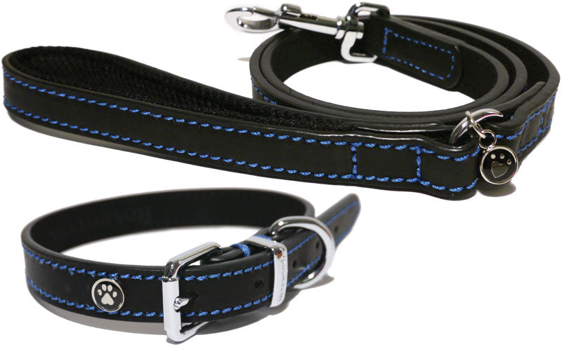 Leather Luxury Dog Collar in Black