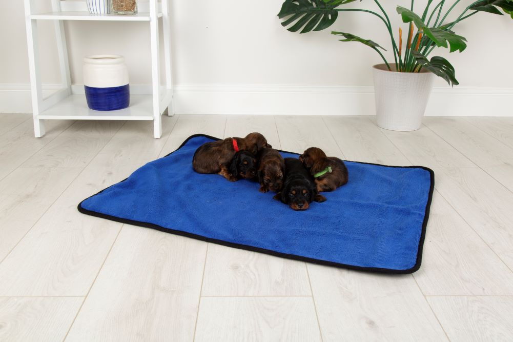Walksters Reusable Multipurpose Dog Puppy Pad