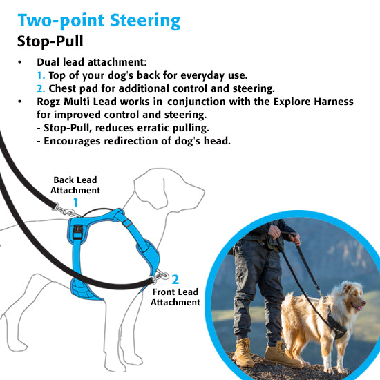 Rogz Explore Reflective Harness for Dogs in Red