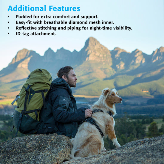 Rogz Explore Reflective Harness for Dogs in Red