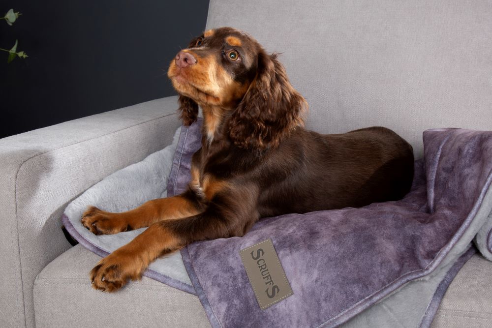 Scruffs Reversible Luxury Kensington Blanket in Grey