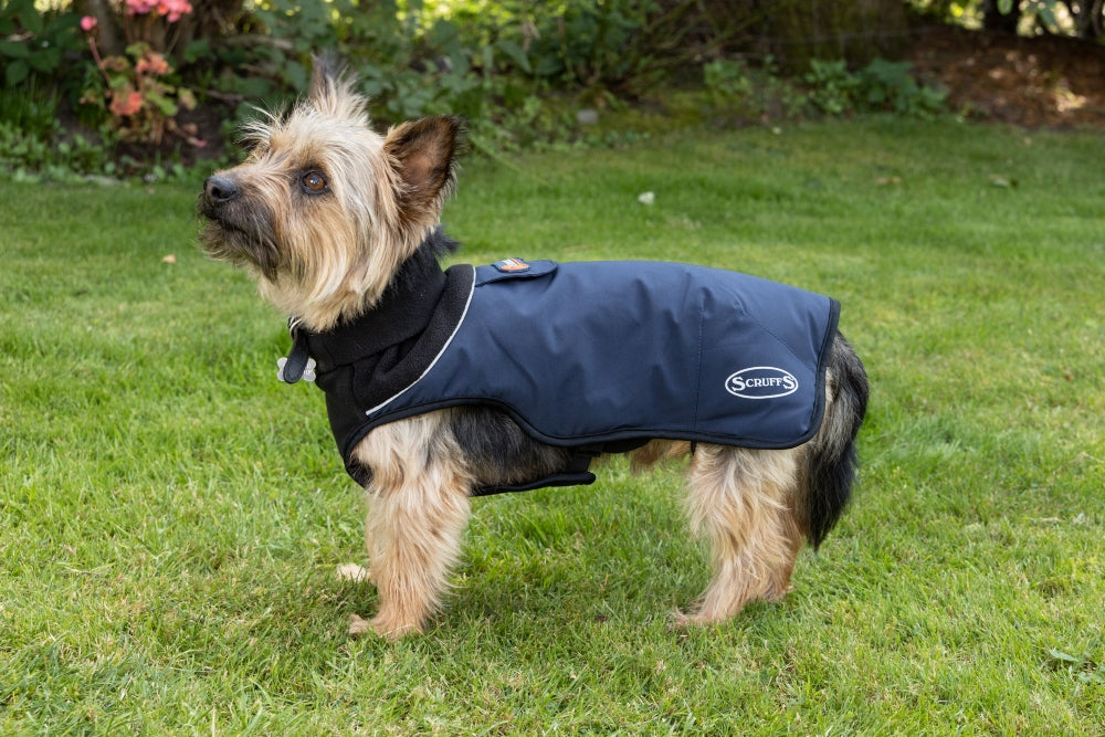 Scruffs Thermal Self Heating Quilted Dog Coat in Navy
