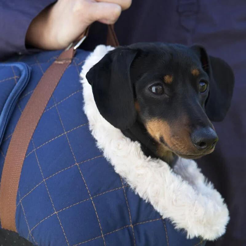 Wilton Dog Carrier in Blue