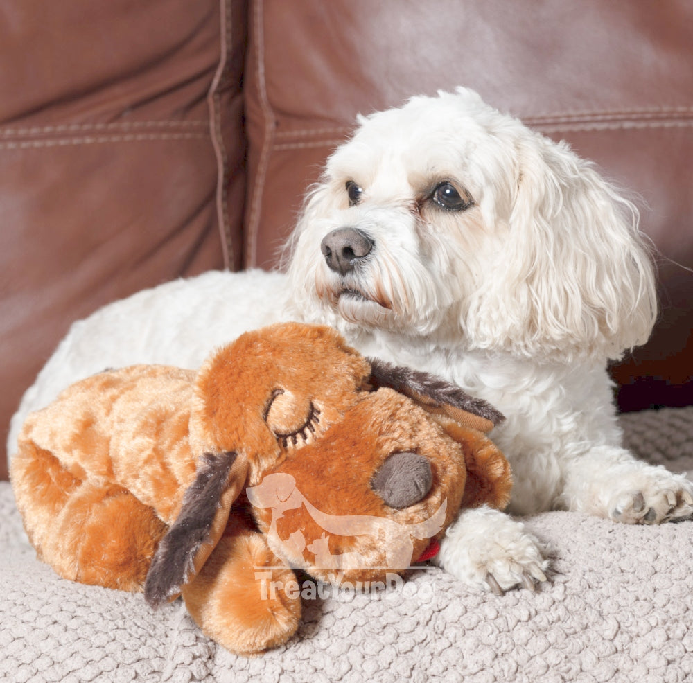 Snuggle Puppy Biscuit Behavioral Aid Dog Toy, Large