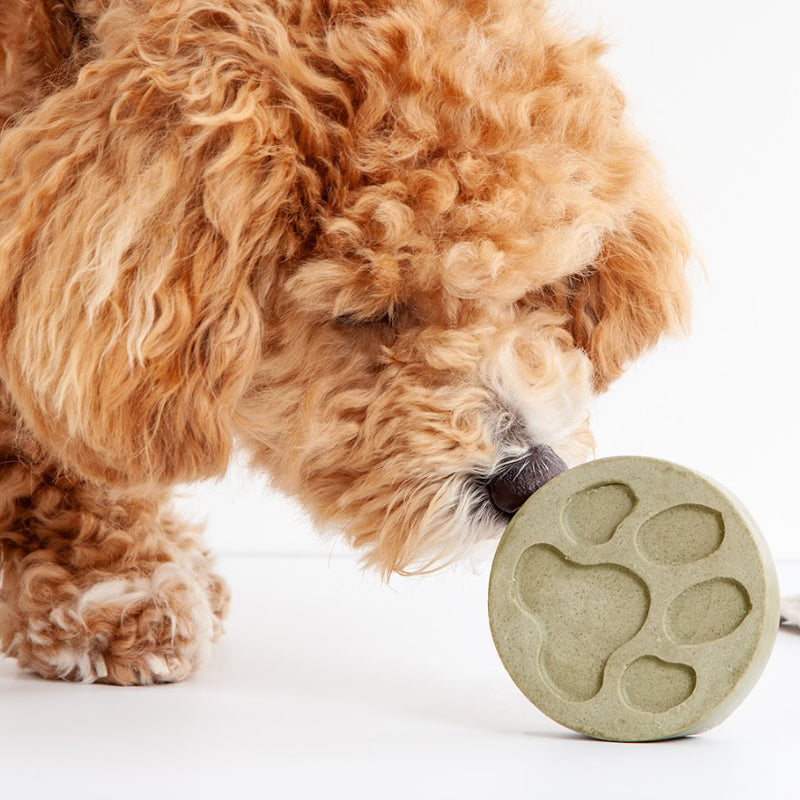 Shampoo bar for dogs with no added Fragrance