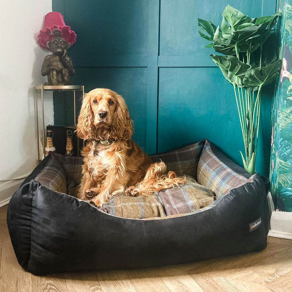 Walksters Buckingham Luxury Dog Bed in Black1