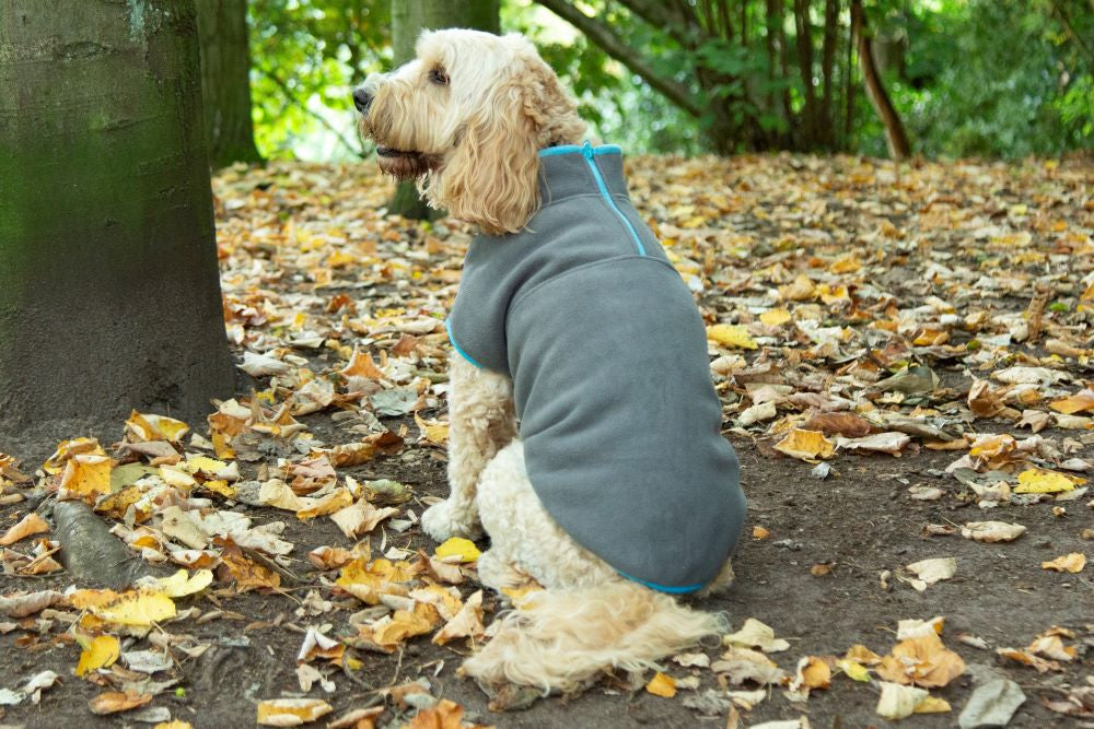 Walksters Dog Fleece Jumper in Grey