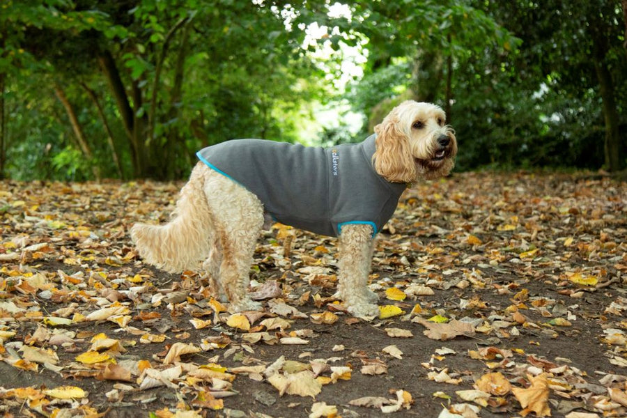 Walksters Dog Fleece Jumper in Grey