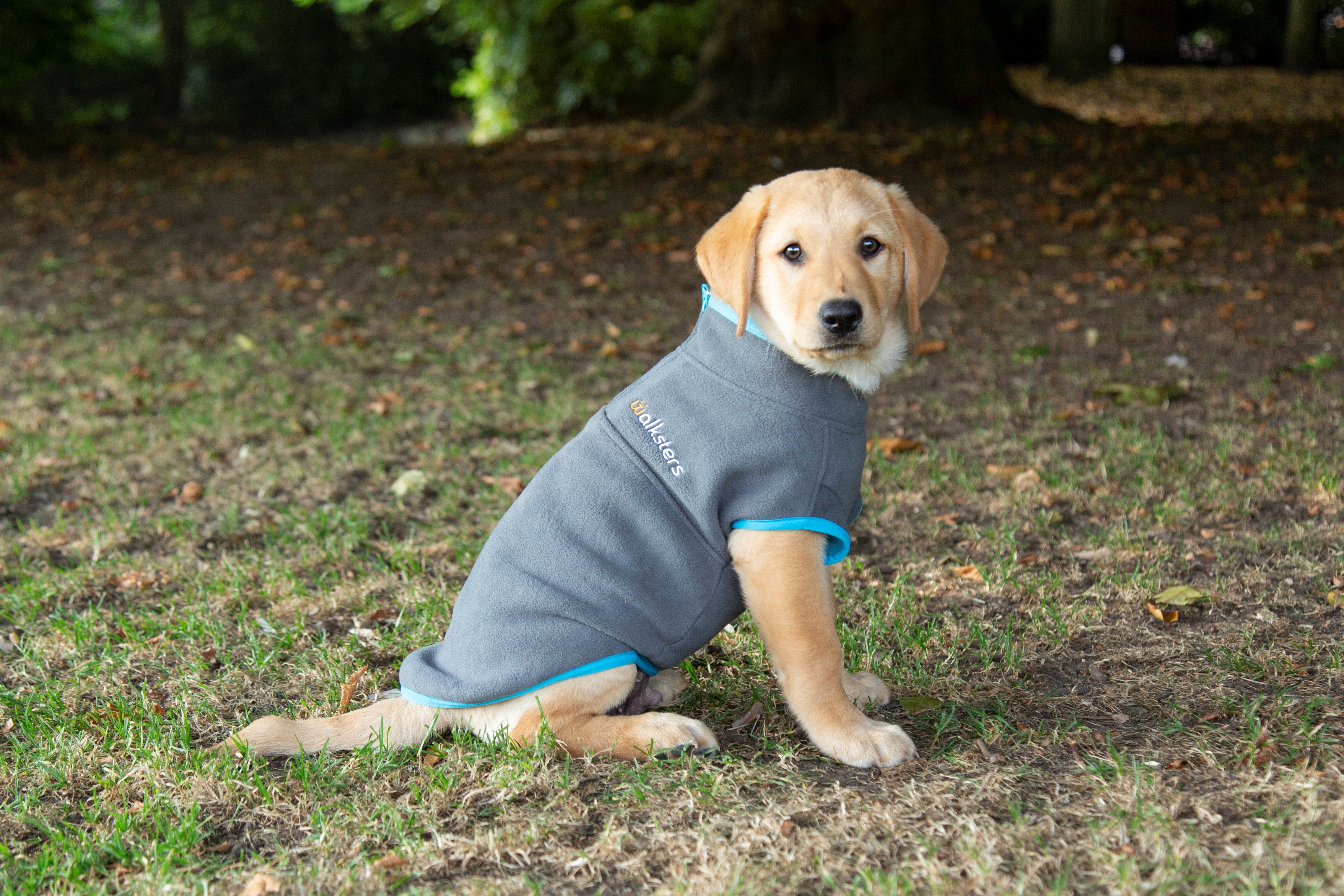 Walksters Dog Fleece Jumper in Grey