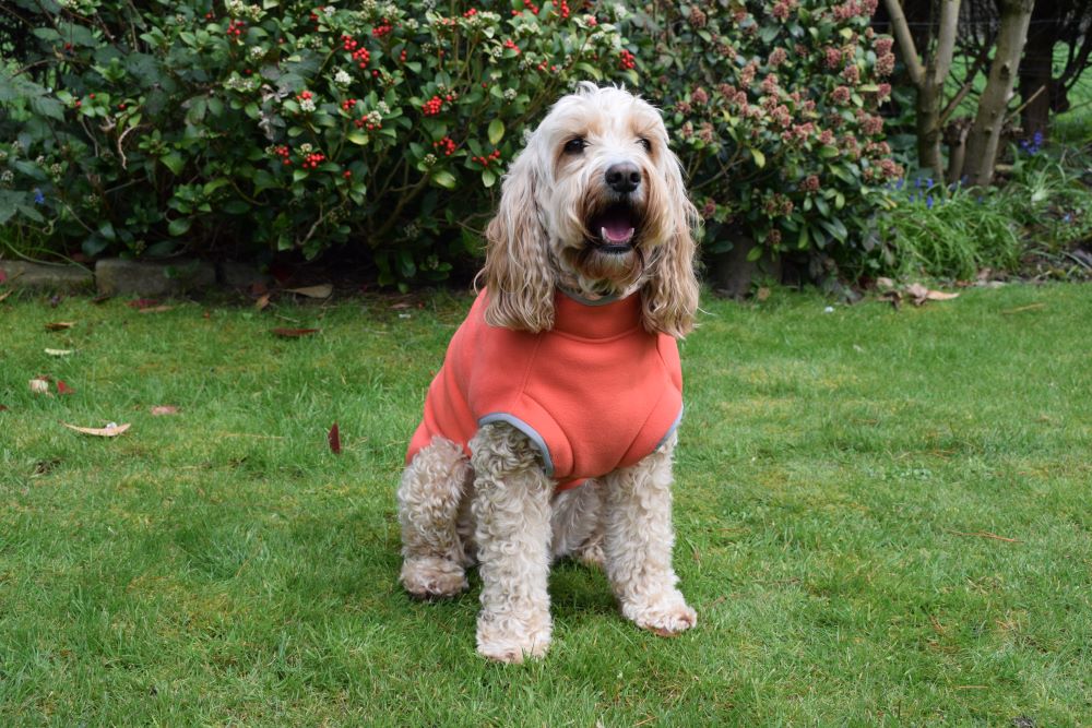 Walksters Dog Fleece Jumper in Soft Orange