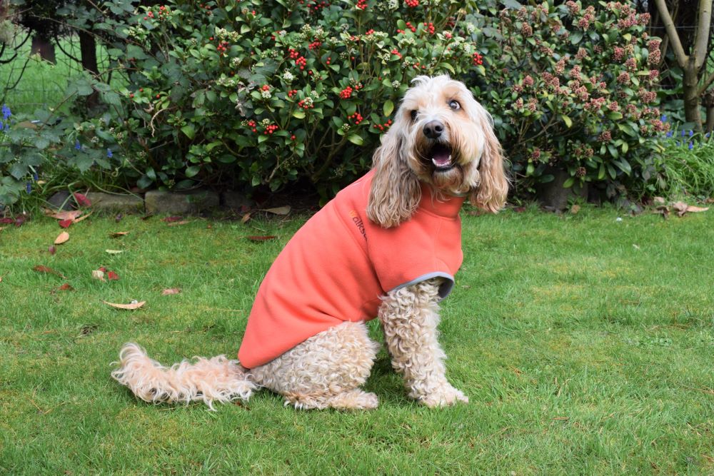 Walksters Dog Fleece Jumper in Soft Orange