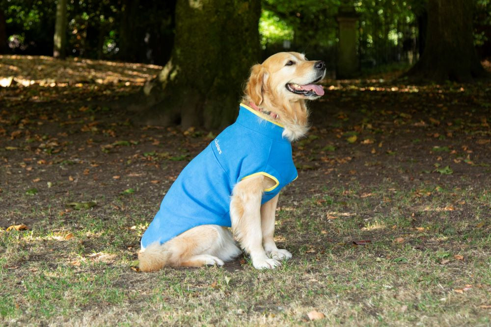 Walksters Dog Fleece Jumper in Blue