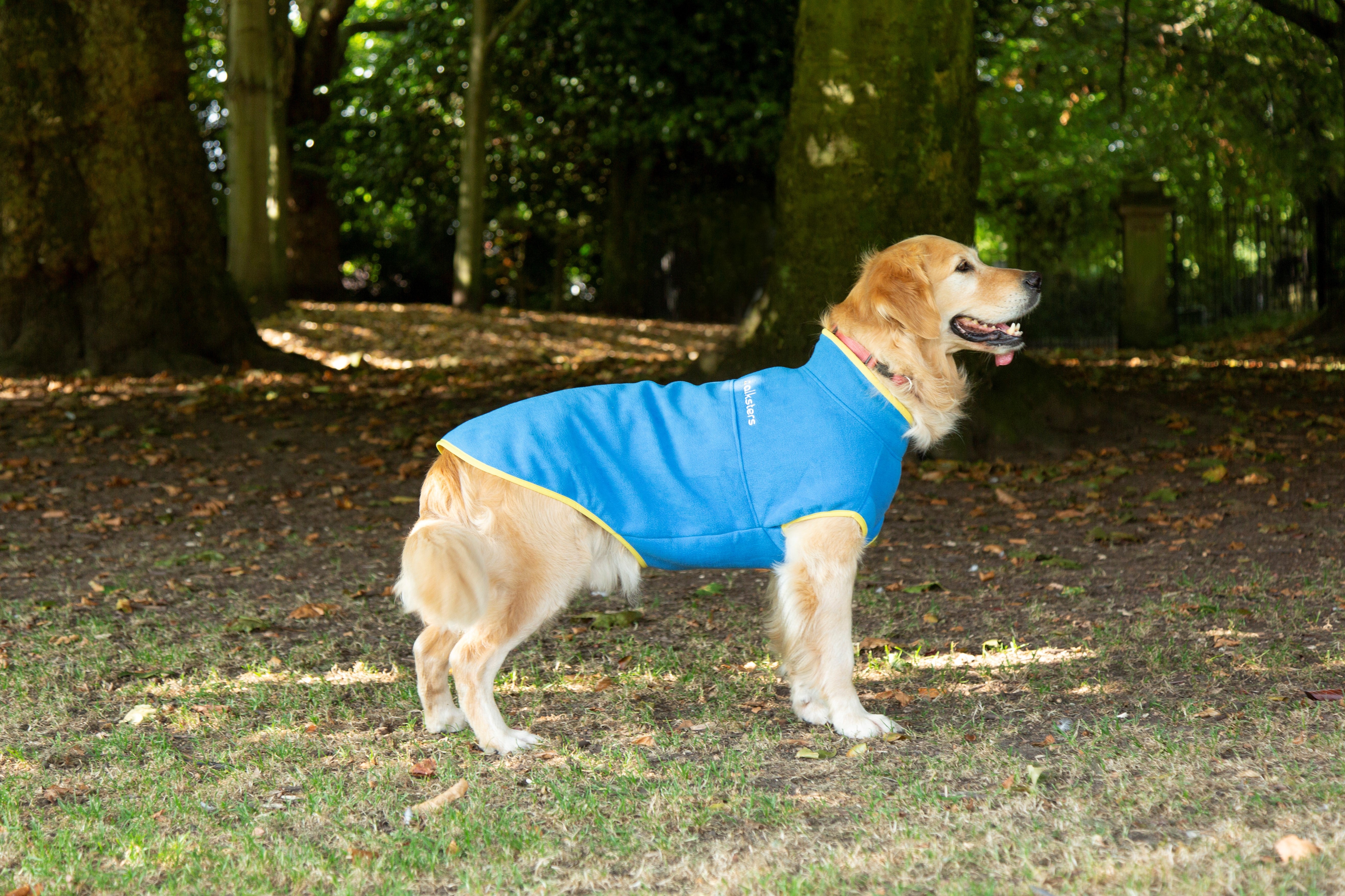 Walksters Dog Fleece Jumper in Blue