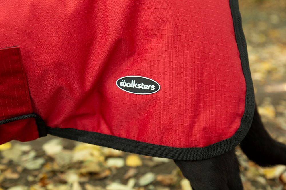 All Seasons Waterproof Dog Coat in Red