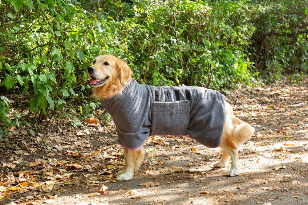 Walksters Microfibre Dog Drying Coat