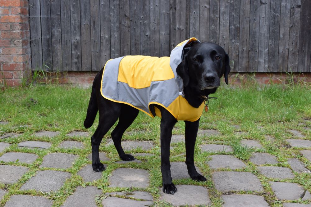 Walksters Dog Raincoat with Underbelly Cover