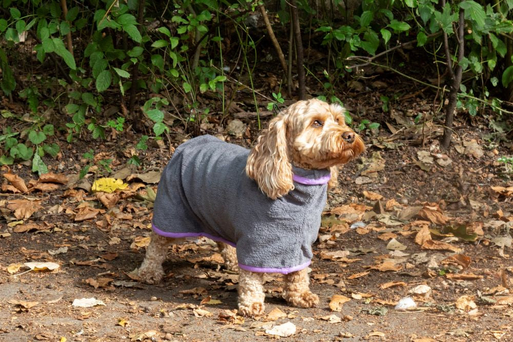 Walksters Microfibre Dog Drying Coat