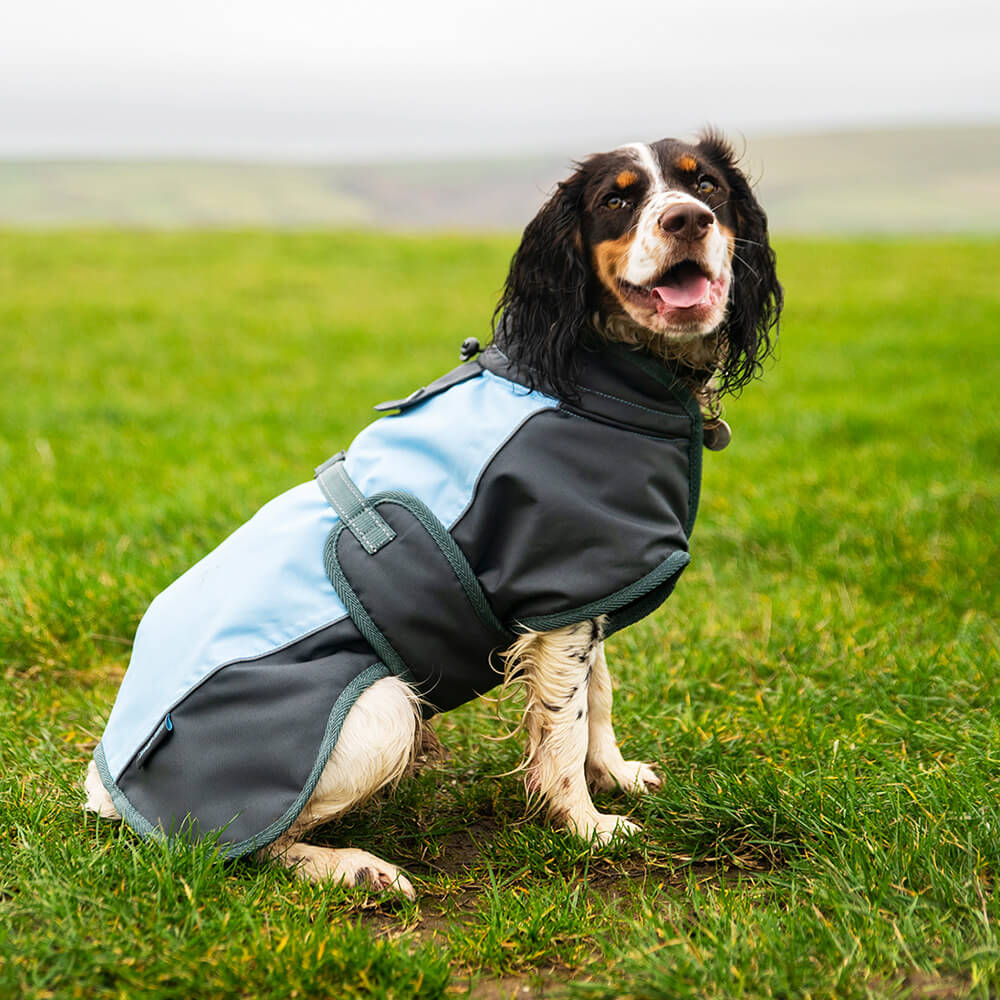 Henry Wag Waterproof Dog Coat