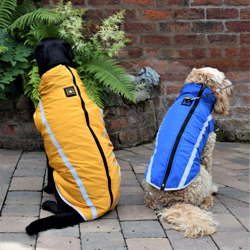 Walksters Fleece Lined Waterproof Dog Coat in Yellow