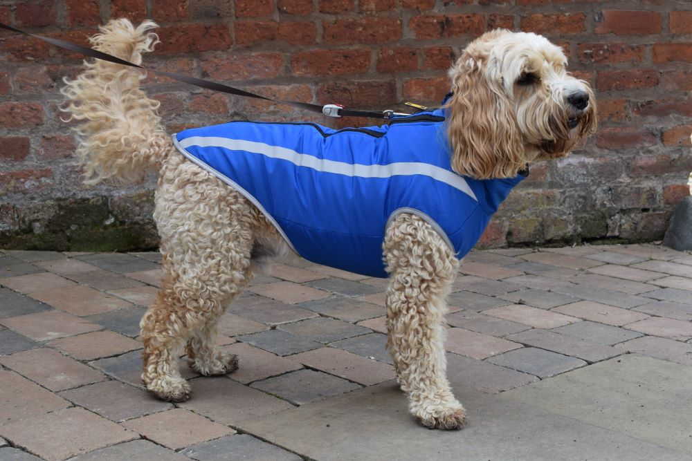 Walksters Fleece Lined Waterproof Dog Coat in Blue