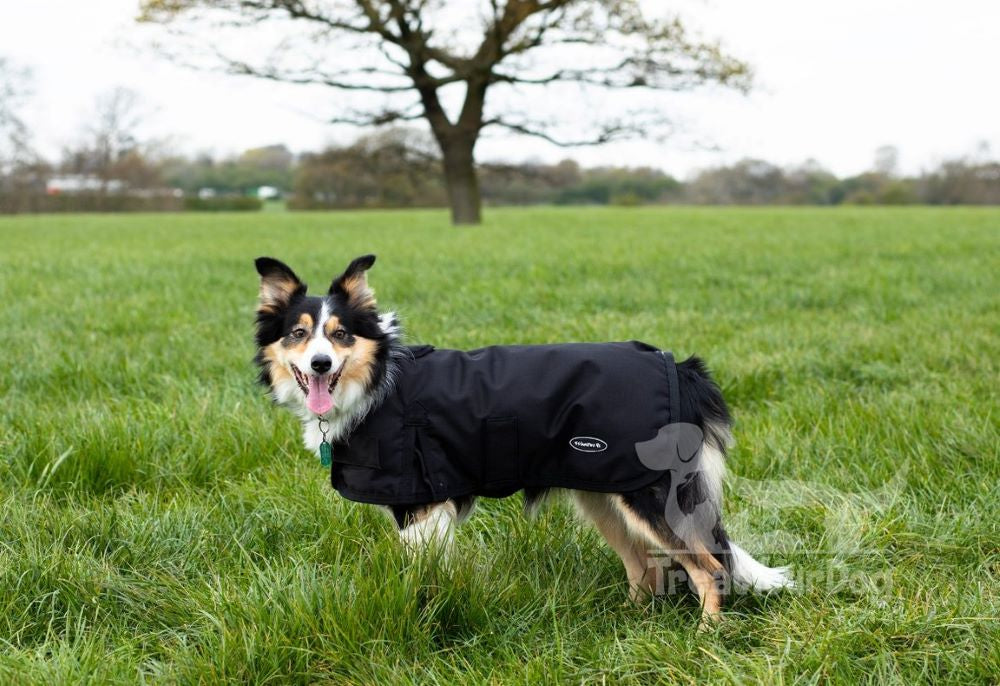 All Seasons Waterproof Dog Coat in Black
