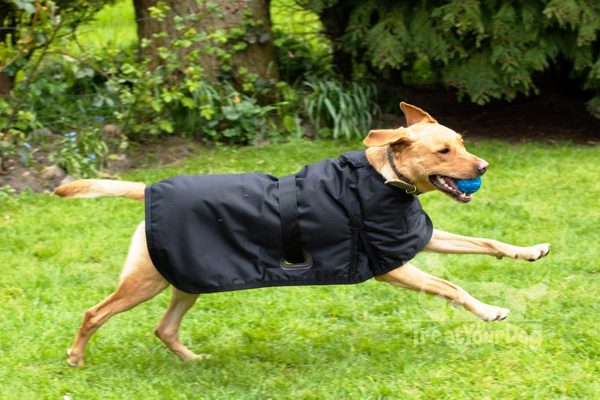 Waterproof Dog Coat in Black All Seasons Treat Your Dog