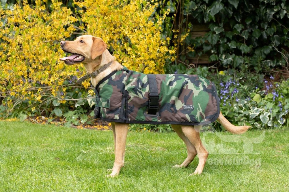 All Seasons Waterproof Dog Coat in Camouflage